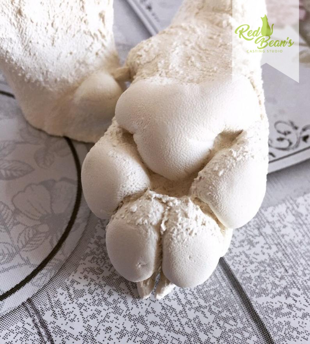 반려견 손 캐스팅 키트 / 손석고 / 프리미엄 석고 KIT