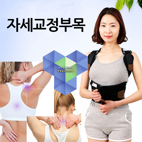 자세교정부목
