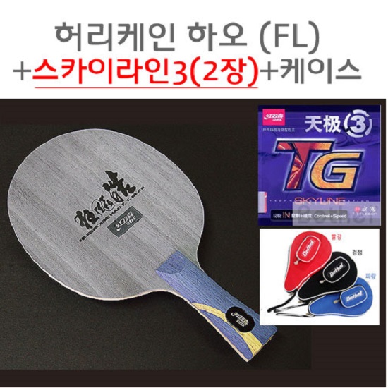 벧엘 허리케인하오(FL)+스카이라인3+케이스